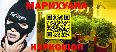 гидропоника Пугачёв
