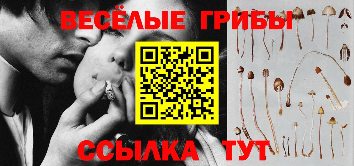 Псилоцибиновые грибы Cubensis Урюпинск