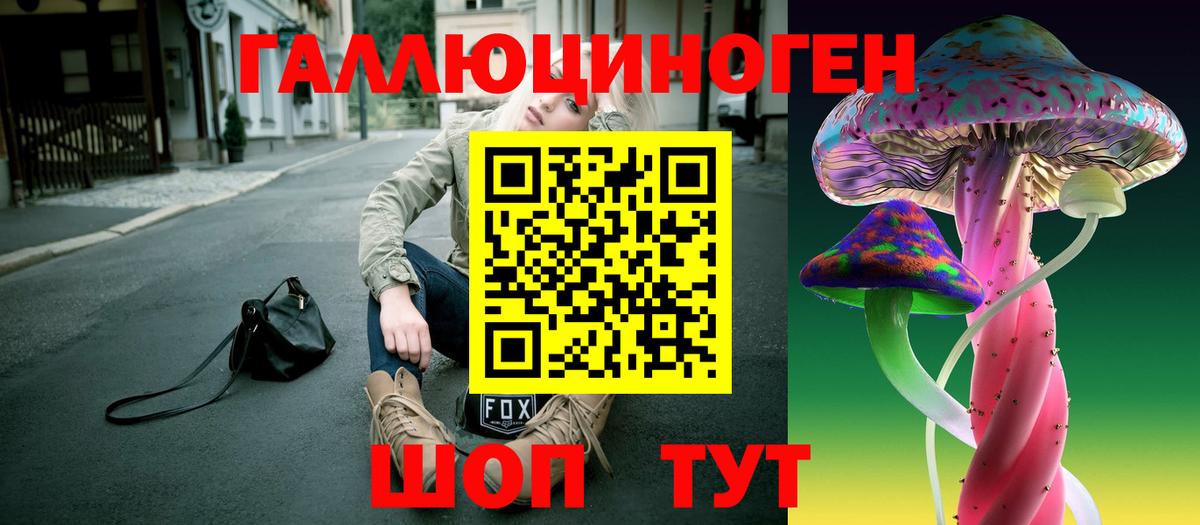 Урюпинск  закладки  Вход с VPN  Галлюциногенные грибы мухоморы  Галлюциногенные грибы GOLDEN TEACHER 